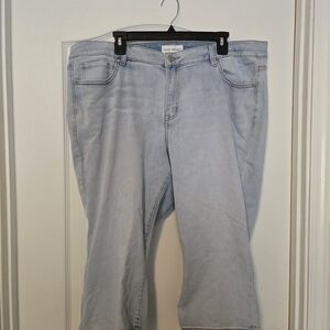 Lane Bryant Light Blue Stretch Denim Jeans